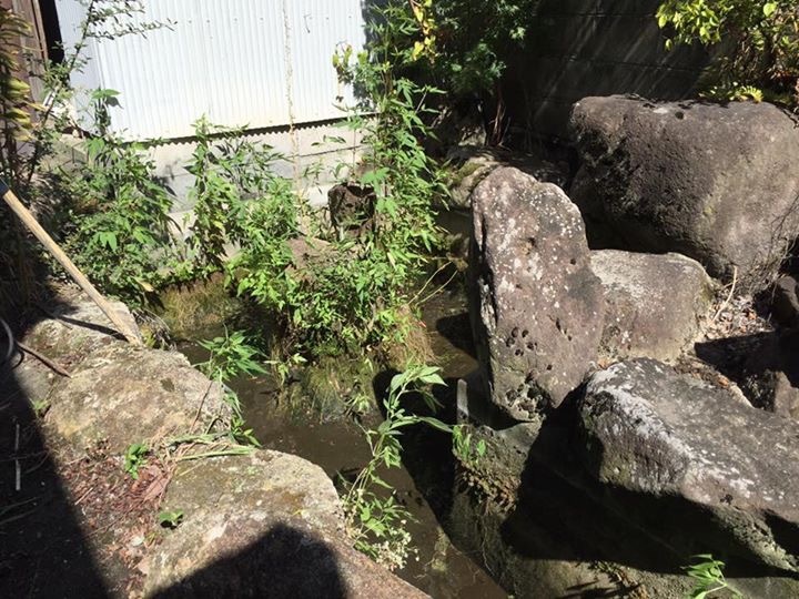 加古川市東神吉町の平屋_f0115152_08462187.jpg