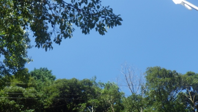 a0166454_18441573.jpg