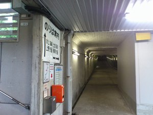 a0057057_22351678.png
