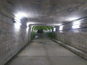 a0057057_22360551.png