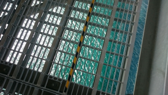 c0328559_17142008.jpg