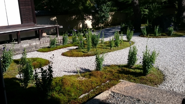 c0328559_17452556.jpg