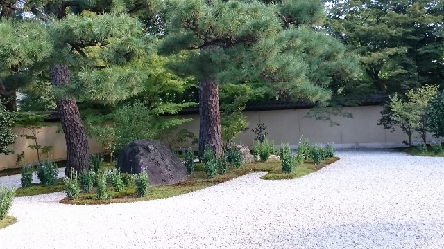 c0328559_17472815.jpg