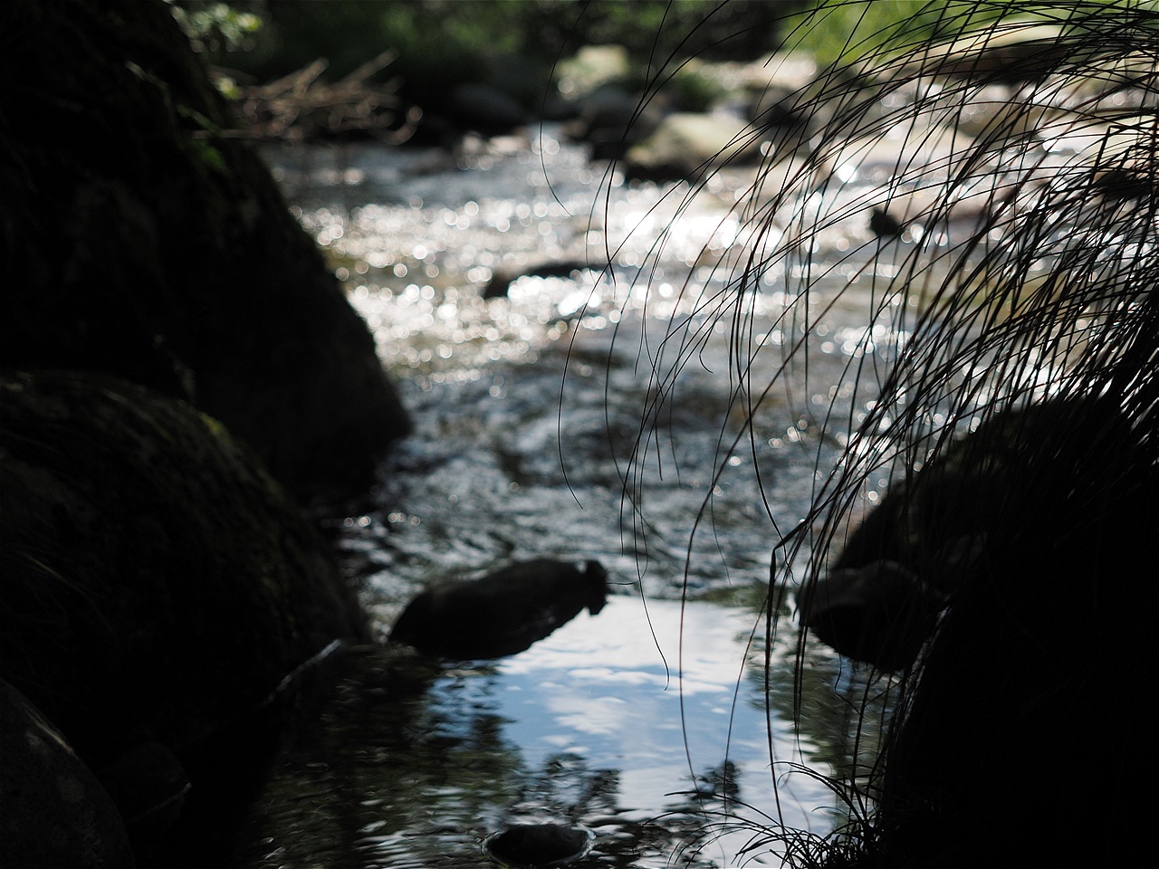 c0237264_21290939.jpg