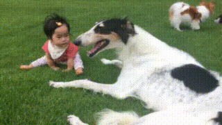c0260264_8512180.gif