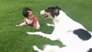 c0260264_8521634.gif