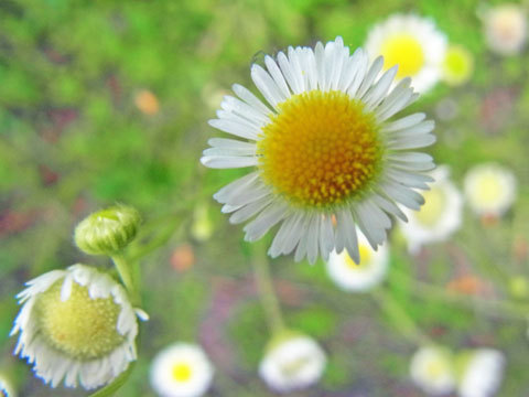 f0083977_16461917.jpg