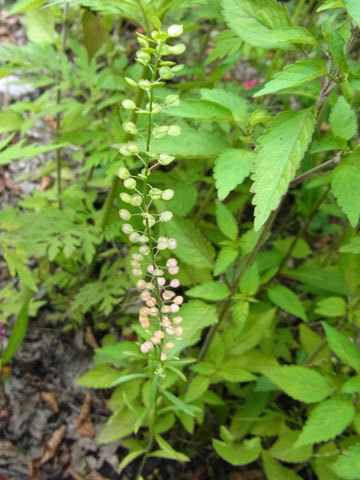 f0083977_16483214.jpg