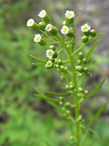 f0083977_17044028.jpg