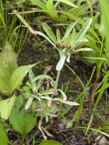 f0083977_17050400.jpg