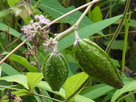 f0083977_17081103.jpg