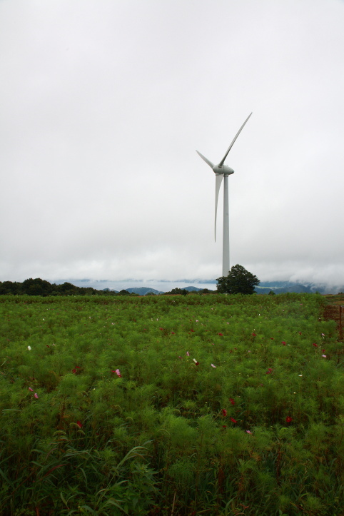 e0165983_11011440.jpg