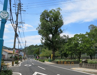 e0130185_19555984.jpg
