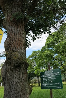 e0130185_2002050.jpg