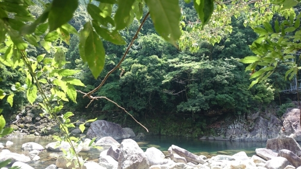d0247789_13161306.jpg