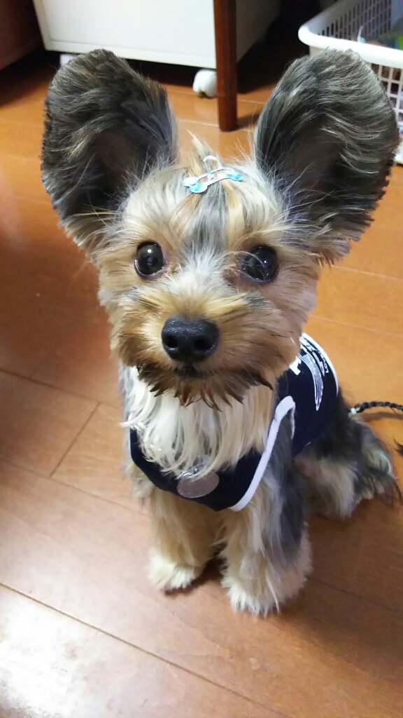 c0191390_21071089.jpg