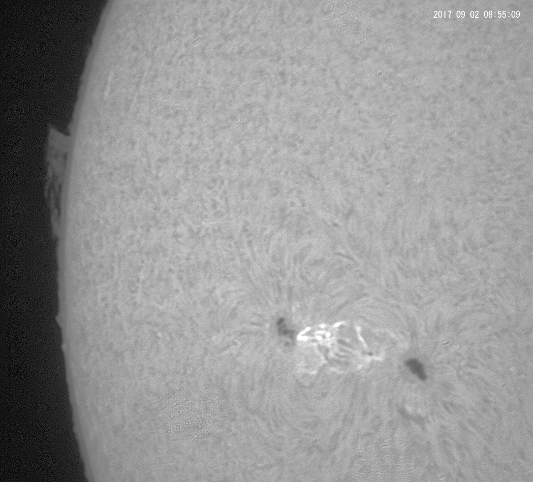 9月2日の太陽_e0174091_10312916.jpg