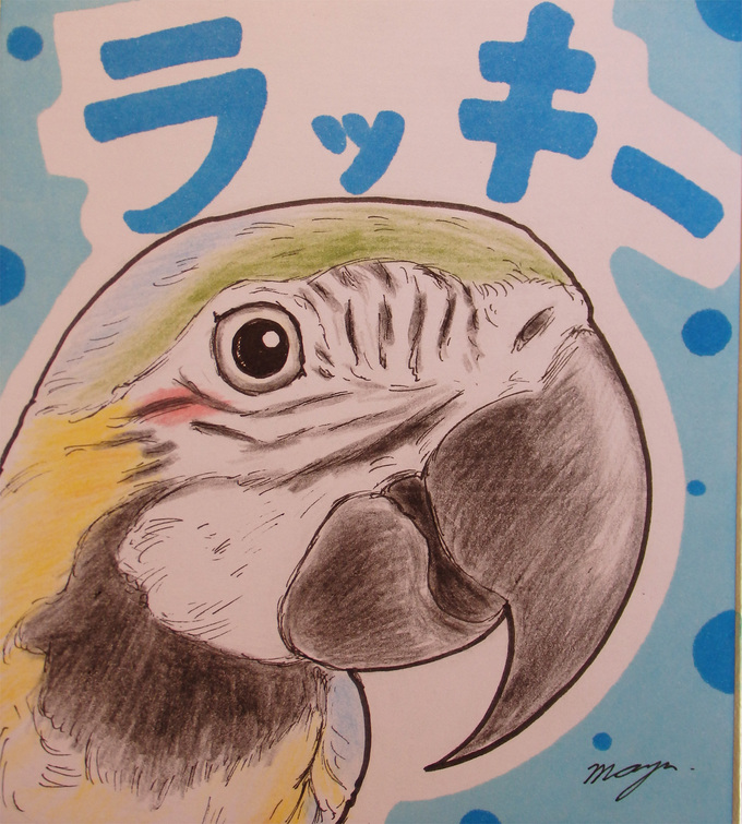 東急ハンズ梅田店『インコと鳥の雑貨展』オーダー会_d0322493_147559.jpg