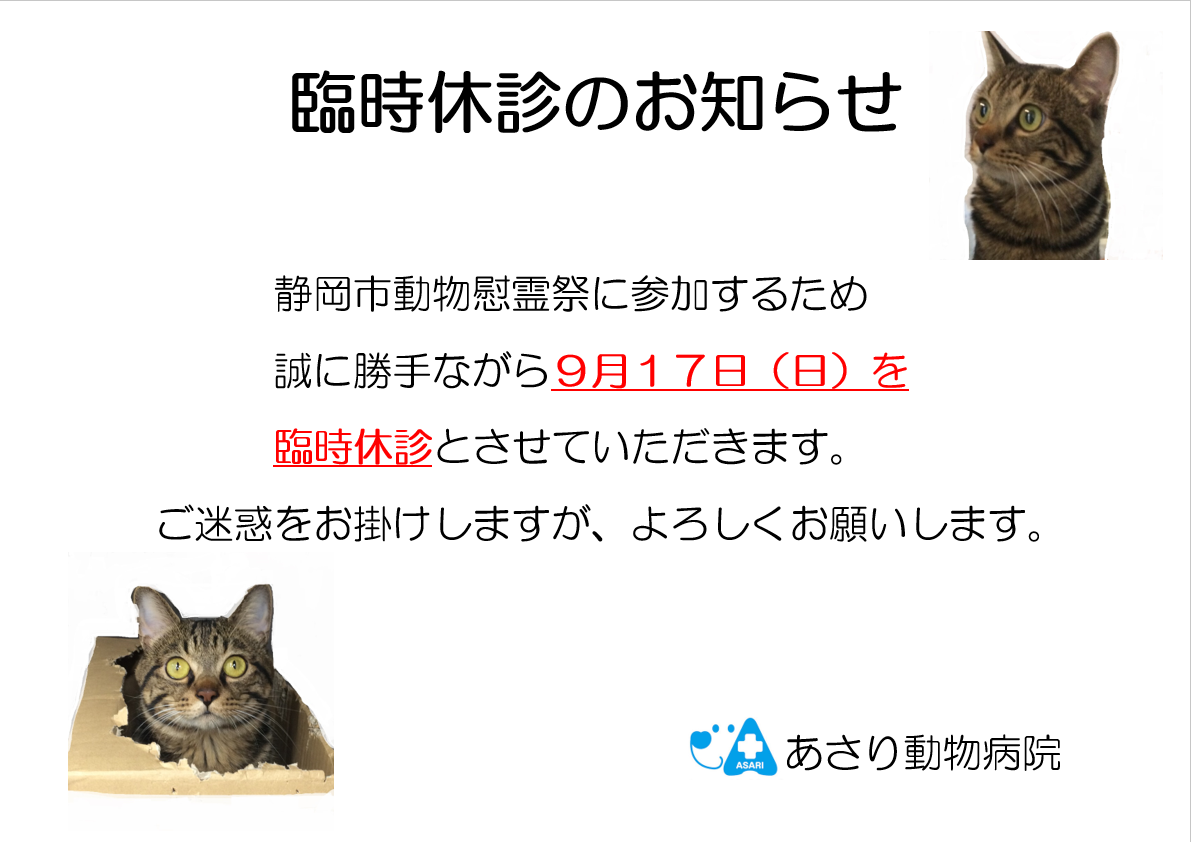 9月臨時休診のお知らせ_b0352394_17224242.png