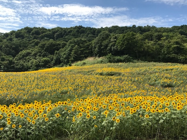 涼しくなりました~_d0103296_19182476.jpg