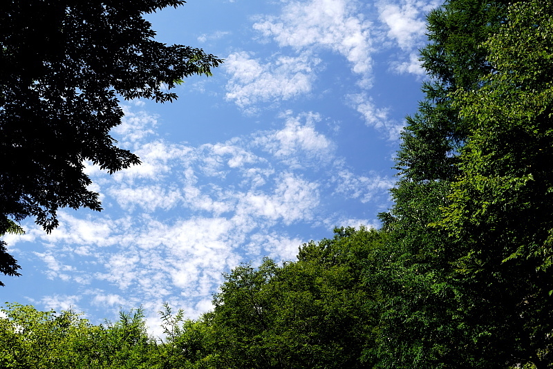 c0339900_20543325.jpg