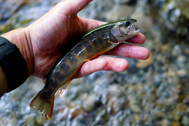 c0339900_21011201.jpg