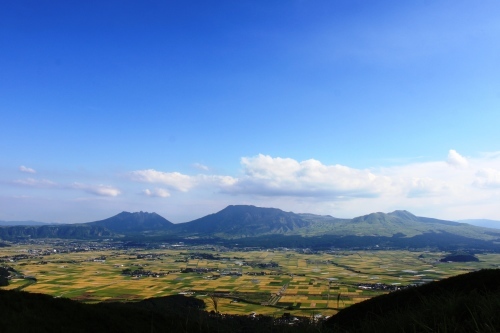 c0368903_17493340.jpg