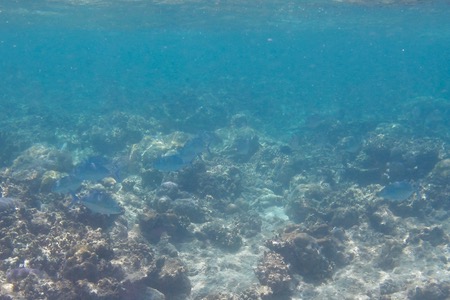 e0338303_925549.jpg