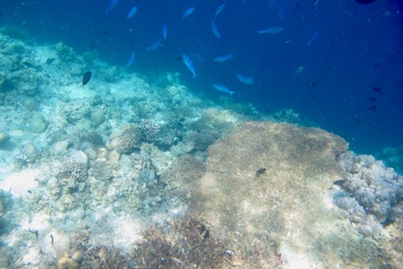 e0338303_954665.jpg