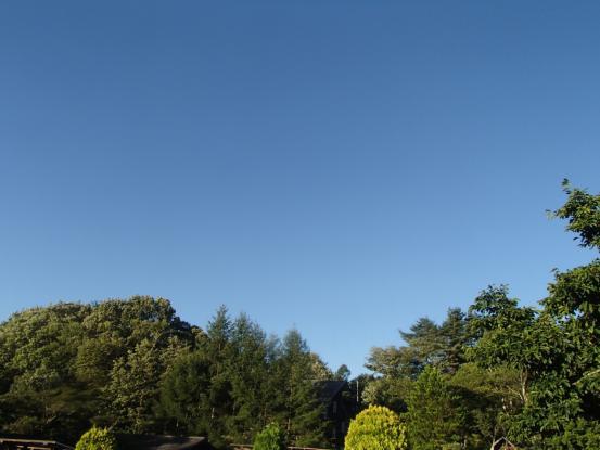 f0064906_16281913.jpg