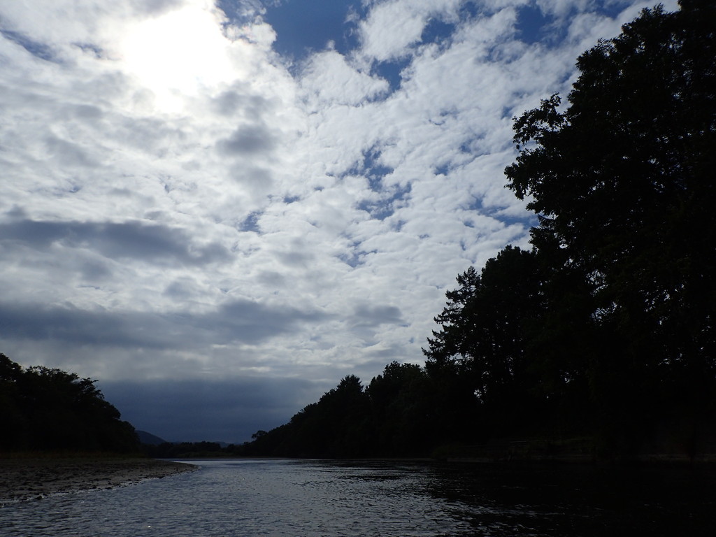 d0051707_10332583.jpg