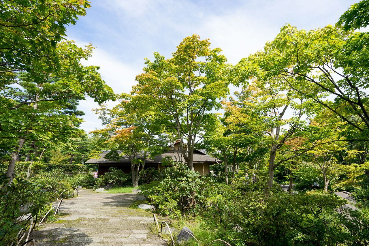 昭和記念公園～日本庭園で秋を探す_b0225108_17055067.jpg