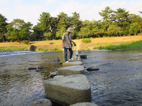 賀茂川へさん歩・・・けど・ドボ〜ン　（。、〆_a0164011_20592943.jpg