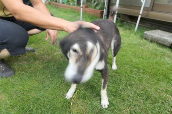 f0369014_10513412.jpg
