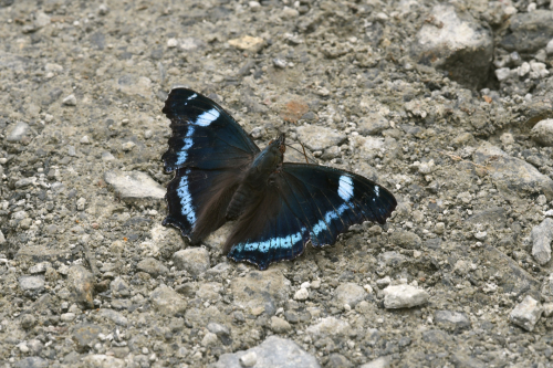 d0332816_22264149.jpg