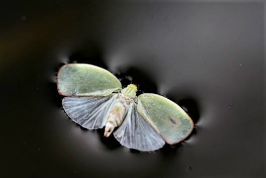 f0354923_22275219.jpg