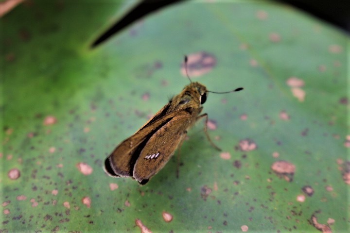 f0354923_22342294.jpg