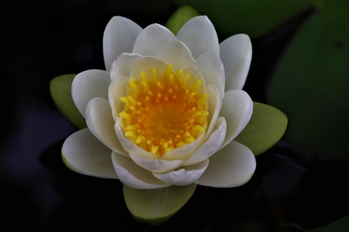 f0354923_22353014.jpg