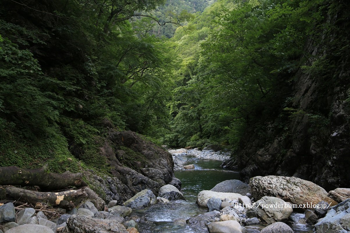 b0062024_17144485.jpg