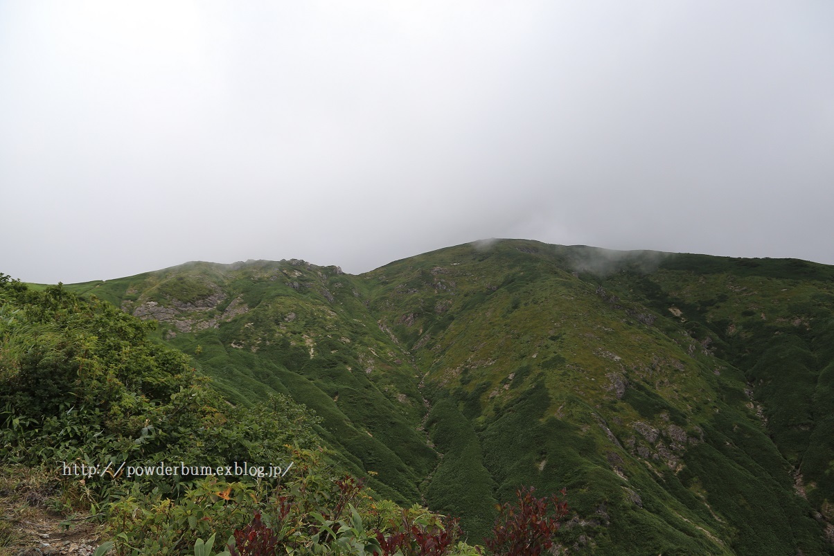 b0062024_17521372.jpg
