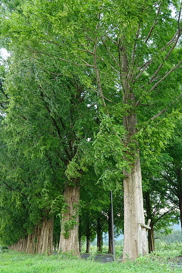 f0037227_22245927.jpg