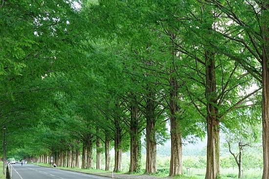 f0037227_22250724.jpg