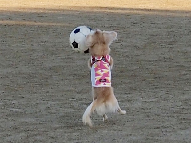c0117831_22013298.jpg