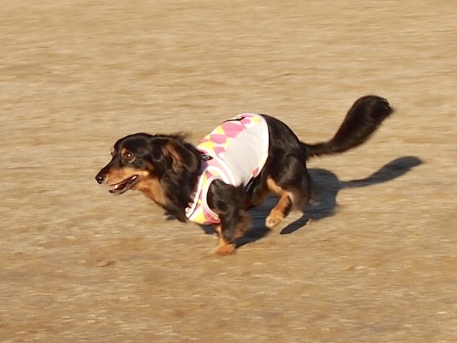 c0117831_22024346.jpg