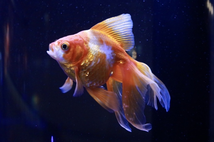 f0348831_20572093.jpg