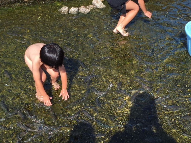 c0113733_09505561.jpg