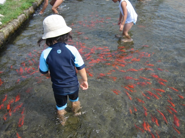 変わらない凄さ★南郷水産センター_c0113733_09530370.jpg