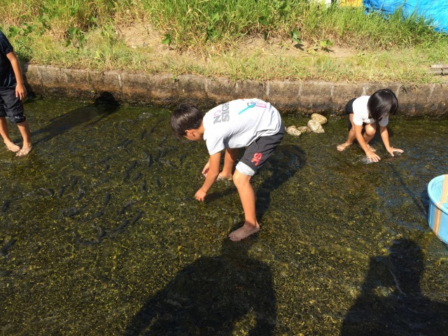 c0113733_09555573.jpg