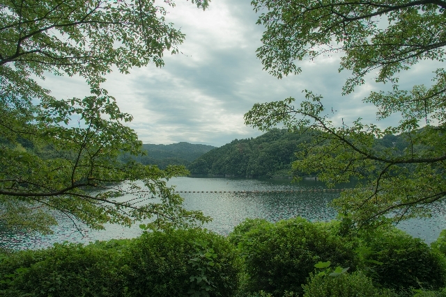 f0158043_20090435.jpg