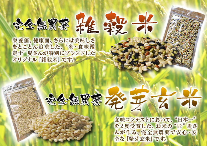 無農薬栽培の『雑穀米』『発芽玄米』大好評販売中！命みなぎる美味しいお米に元気な花が咲きました(2021)_a0254656_18162311.jpg